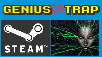 How to install System Shock 2 Mods on Steam. EASY!