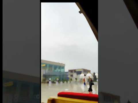 هقول عنك مواويل