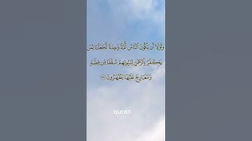 تلاوة خاشعة للشيخ ياسر الدوسري من سورة الزخرف الآية ٣٣