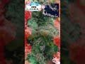 知育動画で楽しく学ぶ【水中映像】今日は魚いるかな？🐟 真鶴港の海の中🌊2026年5月