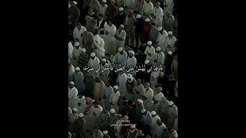 تلاوة قديمة سورة القصص لفضيلة الشيخ د.ماهر المعيقلي-حفظه الله و رعاه- 🤍🌸#ماهر_المعيقلي