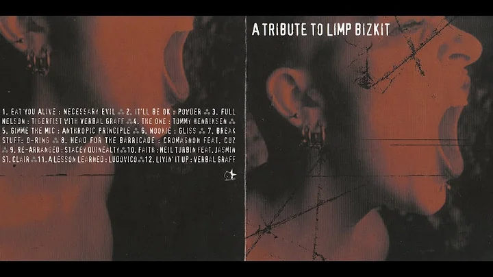 Anthropic Principle - Gimme the Mic (Limp Bizkit Tribute)