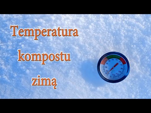 Temperatura kompostu zimą - termometr kompostowy - Ogrodowe pierdamony 129