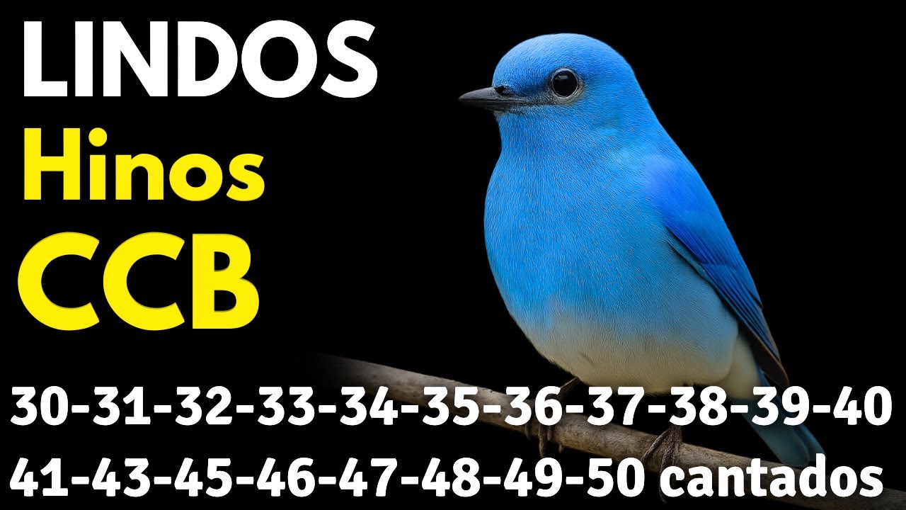 HINOS CCB 30-31-32-33-34-35-36-37-38-39-40-41-43-45-46-47-48-49-50 cantados