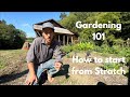 How to Start Your First Garden (Complete Guide)