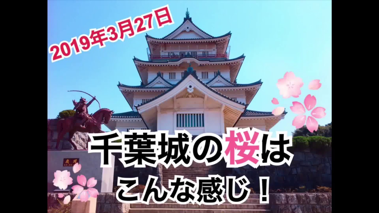 桜開花状況 千葉市中央区 千葉城さくら祭りの様子 19年3月27日 Youtube 桜開花状況 千葉市中央区 千葉城さくら祭りの様子 19年3月27日 Youtube