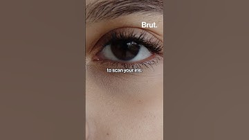 Sam Altman creates a biometric orb that scans your eyeballs to prove that you