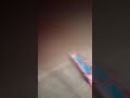 تستا دير