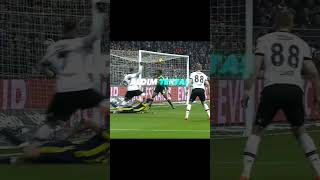 Votka Fondip Partile