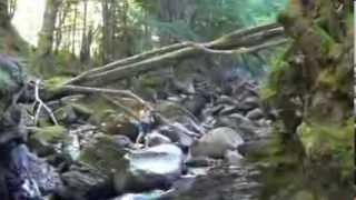 waterfall 瀑布 น้ำตก by kao sechao 226 views 10 years ago 19 minutes