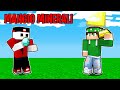 MINECRAFT MA POSSO MANGIARE I MINERALI