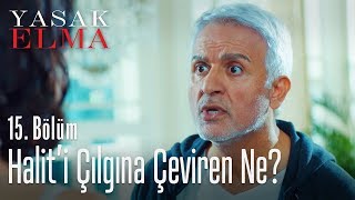 Halit'i çılgına çeviren ne? - Yasak Elma 15. Bölüm