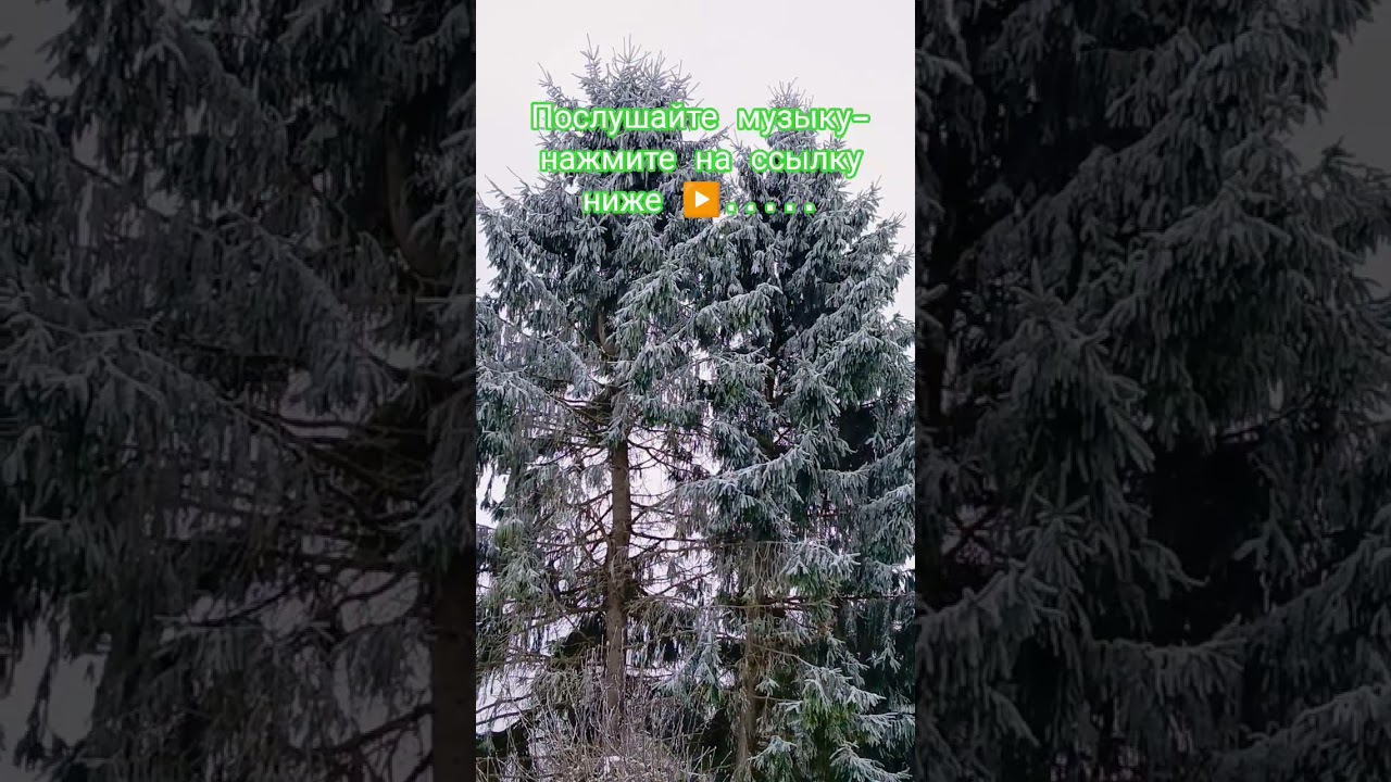 Природа ❄️ в Феврале 🎿