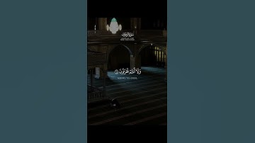 سورة الزخرف الآية 68-70 القارئ ياسر الدوسري