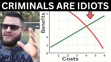 🟩Is crimineel zijn in 2025 winstgevend?