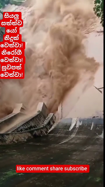 සියළු සත්වයන් ආරක්ෂා වේවා 🙏💮🪷🏵️🌼🌸❤️🙏/#aanisansa #trending #viralvideo