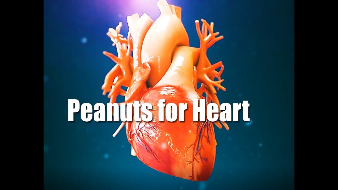 Peanuts and Heart Health YouTube