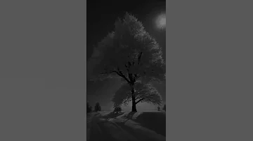 ده انا وانت حكاية تصميم فيديوهات اغاني ستوريات انستا 