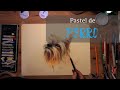 Pastel de perro - con Francisco Valderrama