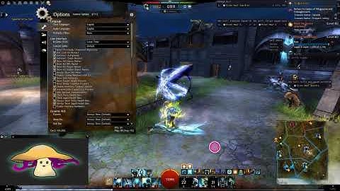 GW2 Keybinding and Options that make life easy