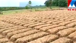 Protest agansit ginger plantation in Palakkad | Manorama News