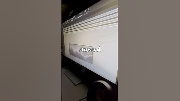 stressed | nettspend remake