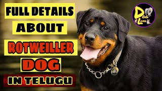 FULL DETAILS ABOUT ROTWEILLER DOG [IN TELUGU] must watch before buying a puppy