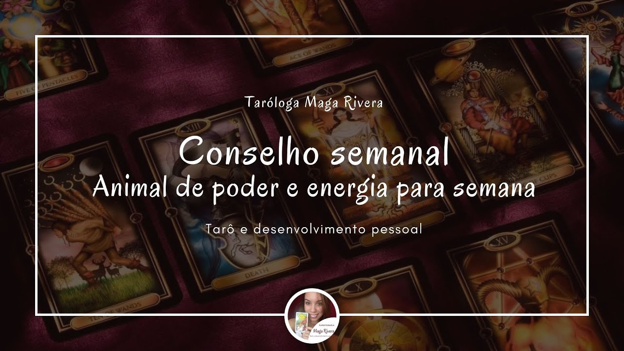 Conselho semanal: animal de poder e energia para sua semana! - YouTube