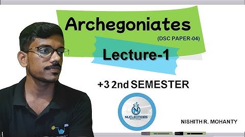 || Archegoniates || Lecturer -1|| +3 2nd Semester || DSC -04