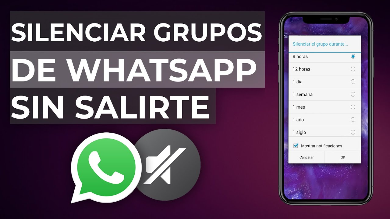Cuantos Contactos Caben En Un Grupo De Whatsapp