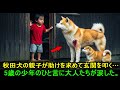 秋田犬の親子が助けを求めて玄関を叩く…5歳の少年のひと言に大人たちが涙した。