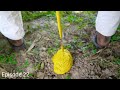 must watch amarican girl Funniest Videos 2025 Episode 22 #sprunki