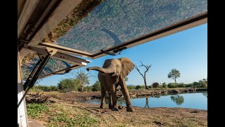 Impodimo Game Lodge - Madikwe game Reserve South Africa