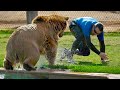 If These Zoo Moments Were Not Filmed, No One Would Believe It