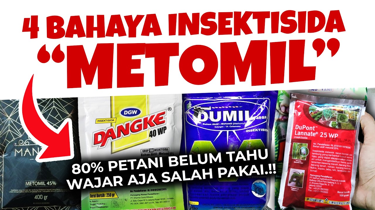 80% PETANI BELUM TAHU.❗❗❗ 4 BAHAYA INSEKTISIDA METOMIL | Racun Hama Tanaman | Danke