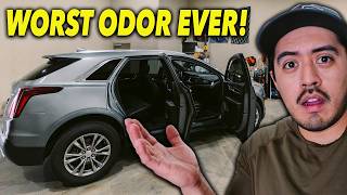 How I Charged $5,500 For This Interior Detail - Full Breakdown