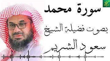 سورة محمد - بصوت فضيلة الشيخ ـ  سعود الشريم - جودة عالية 4K  Surah Muhammad