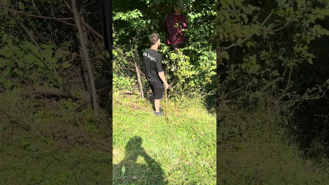 Nea Leon se urcă în copac 😮 