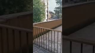 E2E53A71 F90A 4729 8105 35072987C0C5