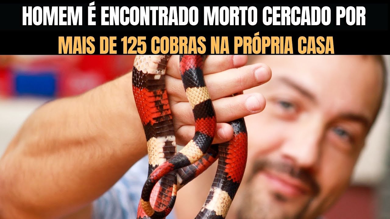 Homem é encontrado morto cercado por mais de 125 cobras na própria casa | Biólogo Henrique