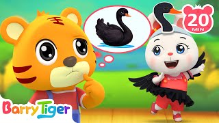 dong wu cai cai cai bao bao dong wu ren zhi you xi you er