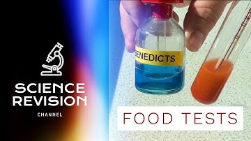 GCSE Science Biology (9-1) - Food Tests - Required Practical