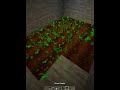 easy wall house Minecraft for starters #minecraft #easy #house
