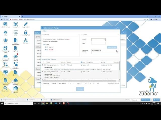 Ranswomare Defender Cyber Recovery Manager Demo