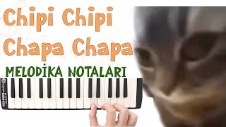 Chipi Chipi Chapa Chapa Dubi Dubi Melodika Notaları Resimi