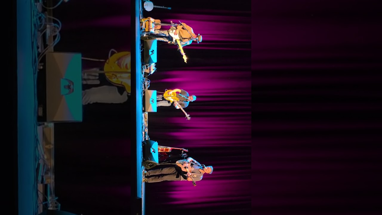 Bell X1 Velcro Limetree Limerick 25 October 2025