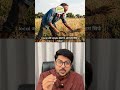 Spring Scientific | Organic Food ≠ Healthy Life? The Missing Piece
