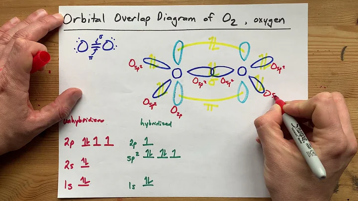 Draw the Orbital Overlap Diagram of O2 (Oxygen gas)