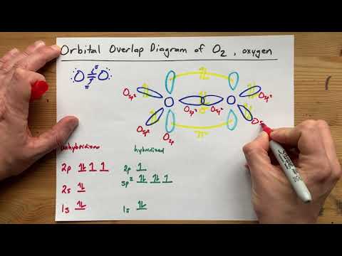 Draw the Orbital