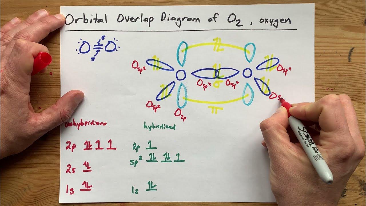 Draw the Orbital Overlap Diagram of O2 (Oxygen gas) - YouTube